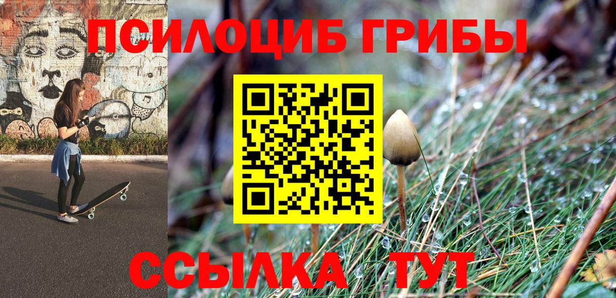 Псилоцибиновые грибы GOLDEN TEACHER  Вход с VPN  Владикавказ 