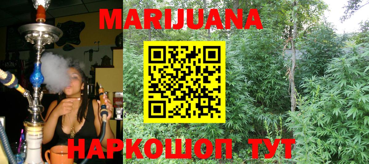 Канабис OG Kush Владикавказ